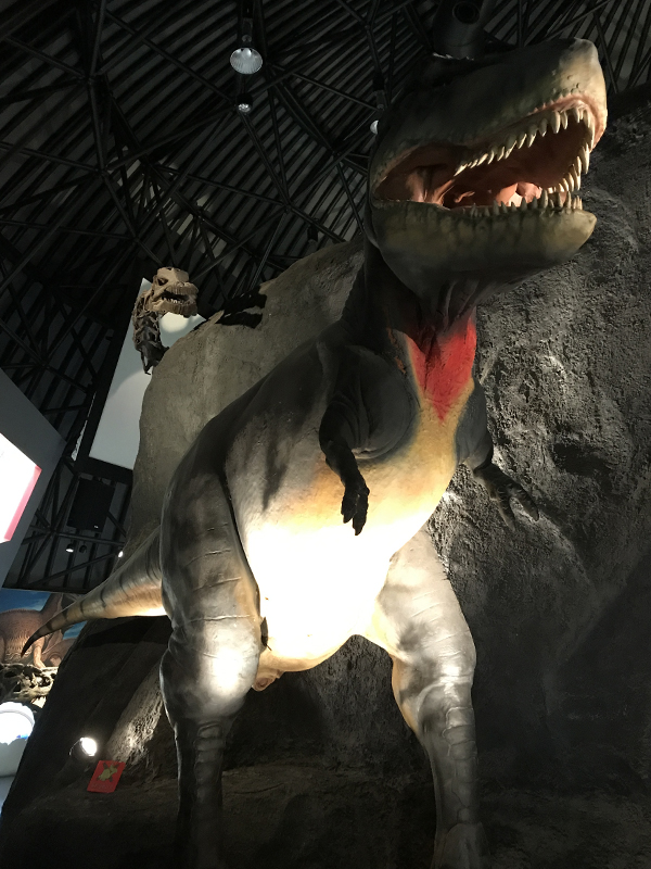 白山恐竜パーク白峰　ティラノサウルス